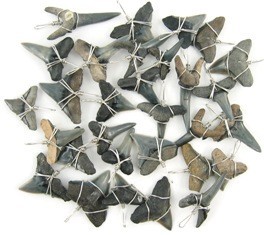 Black Shark Teeth Pendants