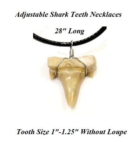 Dozen (12 PC.) 28" Fossil Shark Teeth Necklaces Adjustable Size #STN-100